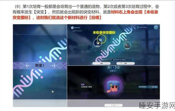 崩坏星穹铁道,异宠拾遗照顾任务全指南