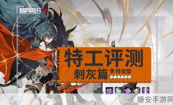 深度剖析,新月同行刺灰抽取的全方位指南