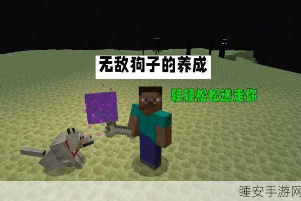 掌控我的世界，巧关狗狗秘籍大揭秘