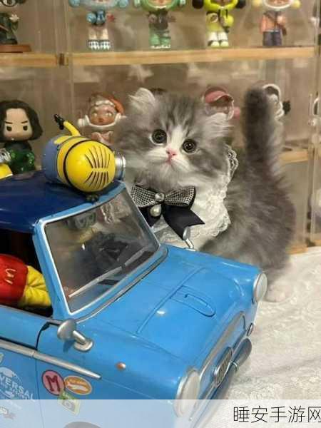 萌猫对决,Q萌休闲新体验,萌宠激战乐趣多