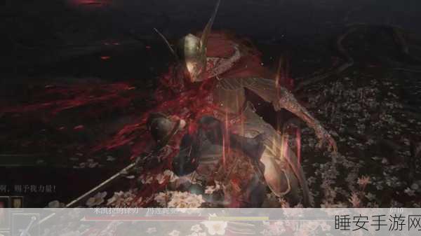 艾尔登法环女武神结局之谜,深度探寻与解析