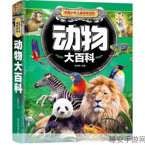 探索 Nona 宠物屋,精彩图片与趣味玩法大揭秘
