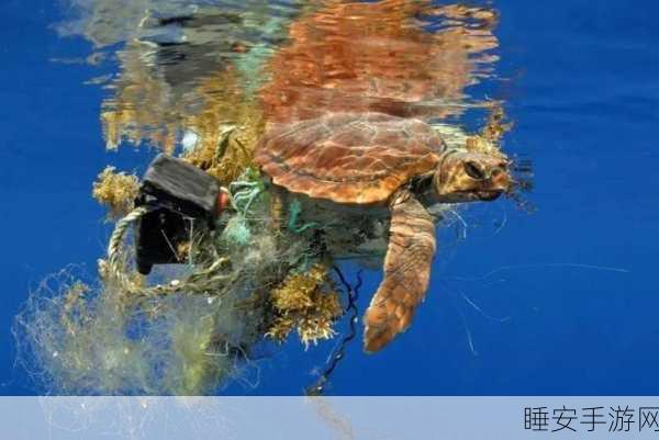 海洋守护者,趣味横生的海洋生物清洁大挑战