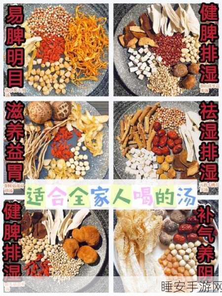 凌云诺最新药膳配方全揭秘
