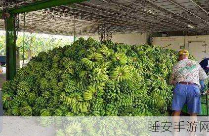 香蕉视频台湾swag:台湾风格的香蕉视频"🍌