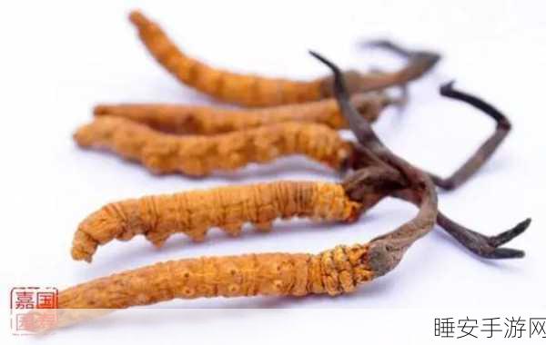 99国精产品灬源:99国优选佳品🔥