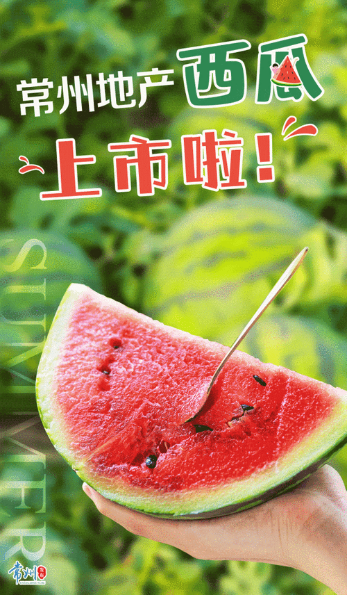 吃瓜视频在线观看今日最新:今日最新的吃瓜视频播放" 🍉
