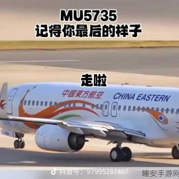 东航mu5735坠毁原因最新消息:东航MU5735坠毁事件最新进展📰