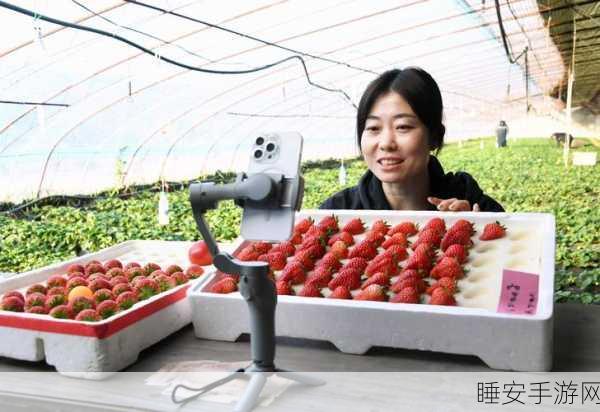 草莓视频污无限制观看:无限制观赏草莓视频🍓