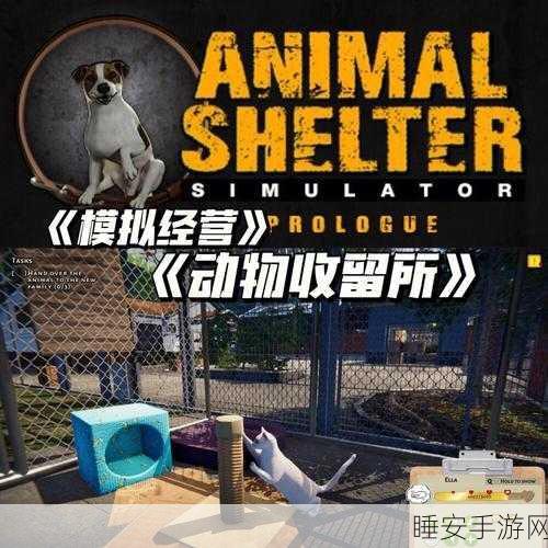 趣味解压新选择,动物运输卡车模拟游戏深度评测