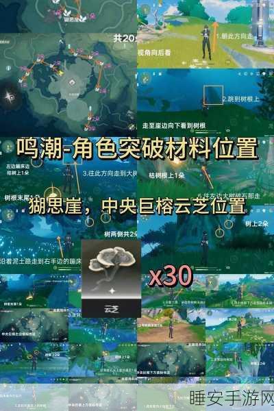 鸣潮渊武突破必备材料全解析