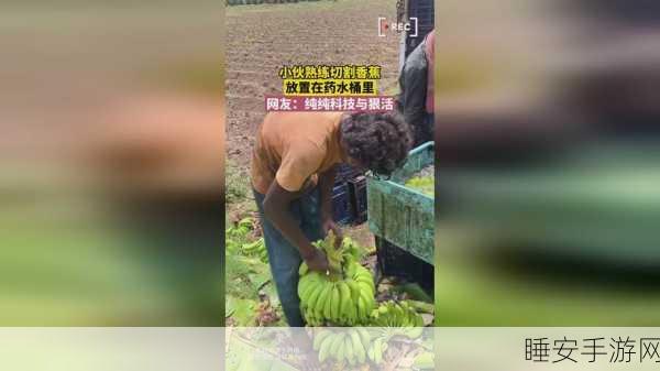 91吃瓜:91看热闹"😄