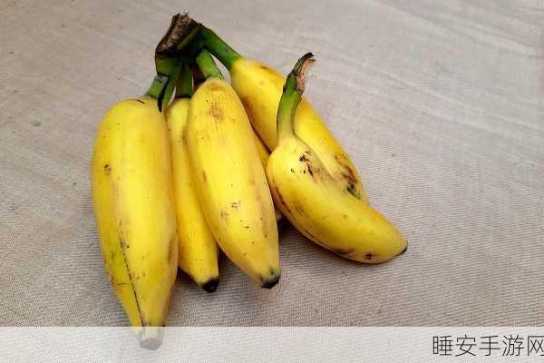 香蕉视频1.8:香蕉影视1.8" 🍌