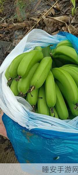 香蕉视频1.8:香蕉影视1.8" 🍌