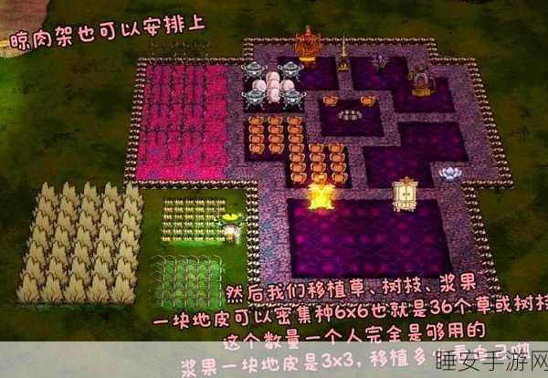TGP 饥荒建服秘籍,轻松搭建专属游戏世界