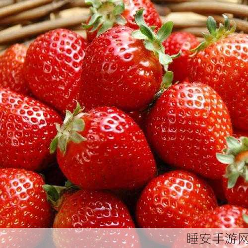 草莓网站在线观看网站资源浏览器:在线草莓网站资源查看器" 🍓
