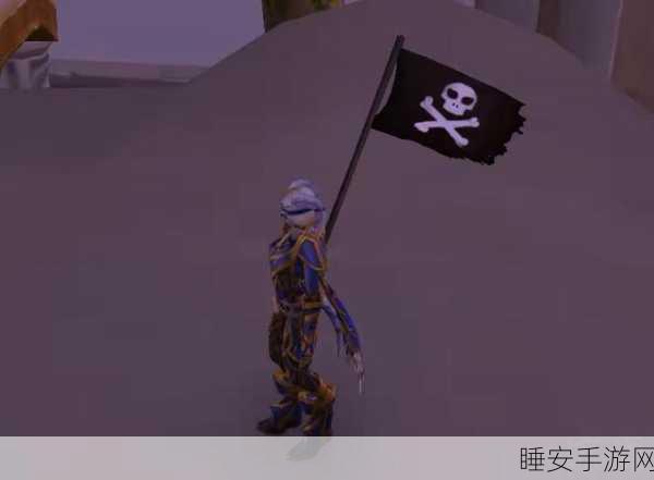 海盗日护甲:海盗日盔甲" ⚓