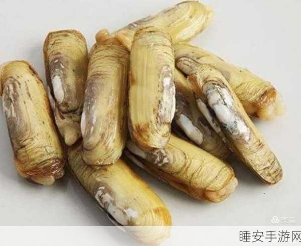 探秘绿海龟,呼吸器官究竟是鳃还是肺?