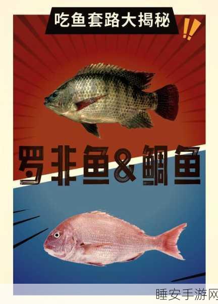 鱼吃鱼,生存率飙升秘籍大揭秘