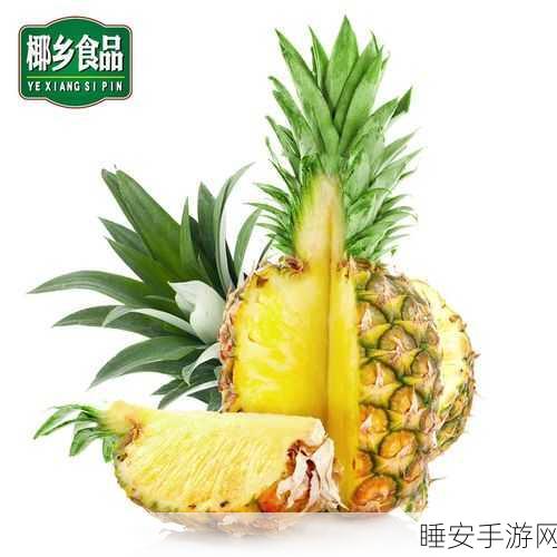 福建导航福建大菠萝官网下载:官网下载福建大菠萝导航"🍍