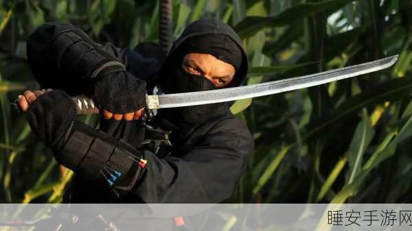 武士忍者刀安卓版震撼上线,休闲竞技新体验,刀光剑影等你来战!