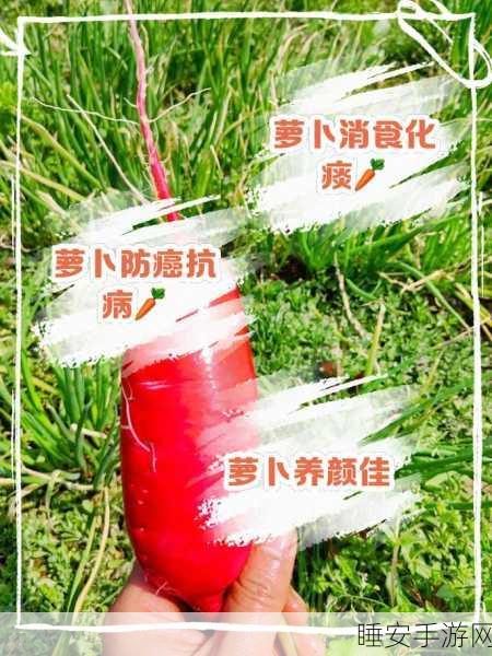 两人在室内拨萝卜的软件:室内两人萝卜挑选应用" 🥕