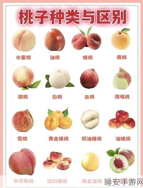 久久99精品久久久水蜜桃的功能介绍:久久99精品水蜜桃的特点解析"🍑