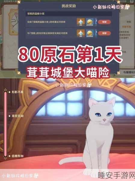 原神，茸茸城堡大喵险首日通关秘籍