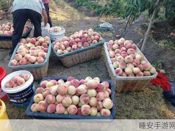 大坤巴插桃子:果园里的大丰收🍑