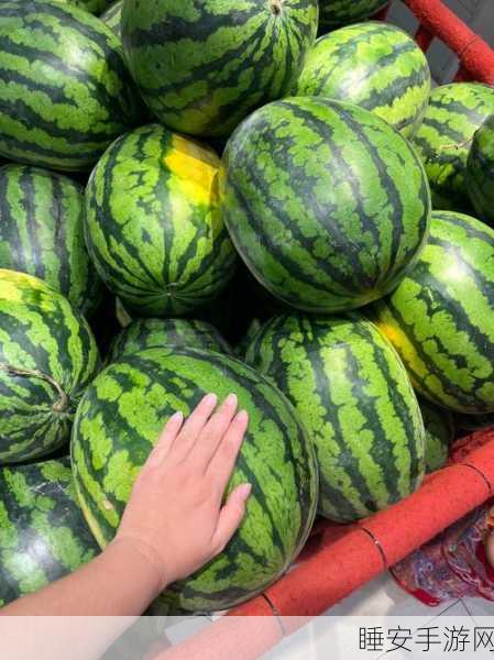 51今日大瓜 热门大瓜在线观看:今日热议大事件 在线观看最新动态 🍉