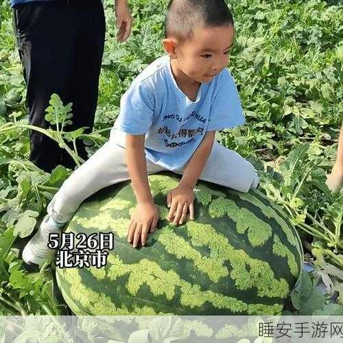 51今日大瓜 热门大瓜在线观看:今日热议大事件 在线观看最新动态 🍉