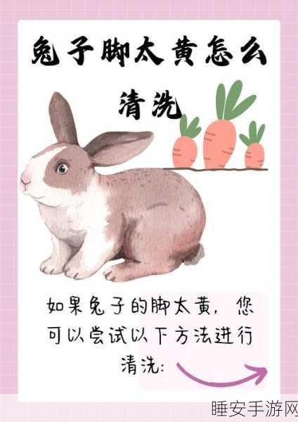 星露谷物语,轻松获取兔子的脚秘籍大公开
