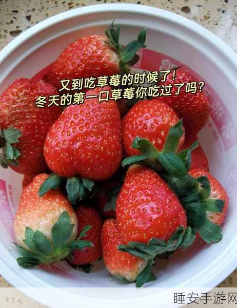 呦呦资讯网草莓视频:草莓视频最新动态网 🍓