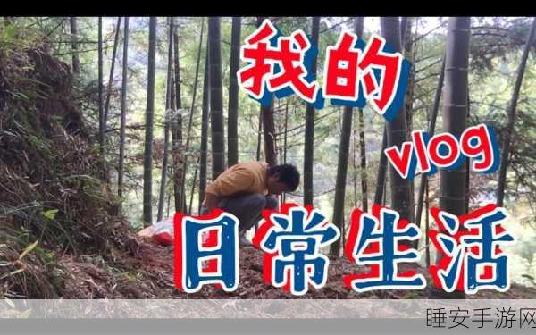 亚洲无吗:亚洲探索之旅" 🌏