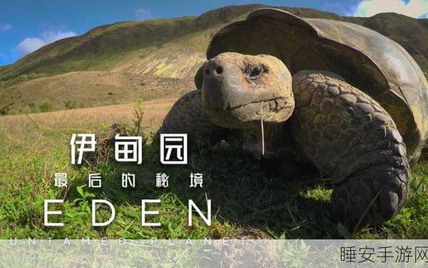 伊甸园一二三四地区的历史意义:伊甸园各地区的历史价值" 😊