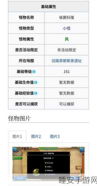 托拉姆物语，敏力双剑配装秘籍，洞察现版本与未来