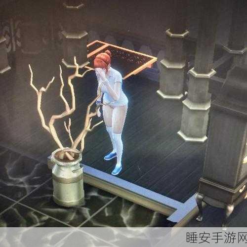 打光屁股网站:光明之道网站" 🌟