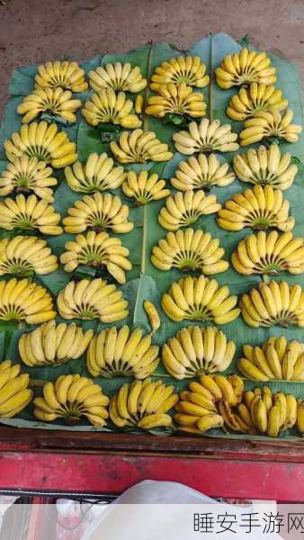 香蕉视频在线观看:香蕉视频观看平台"🍌