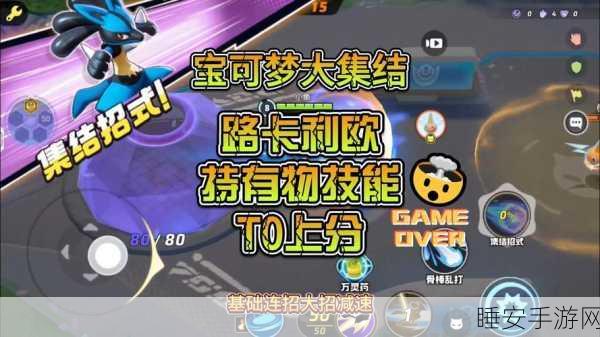 宝可梦大集结,路卡利欧致胜持有物全解析