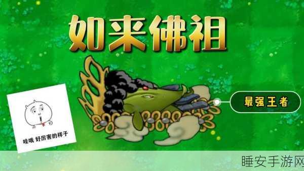 DNF 九周年宠物属性大揭秘,谁是最强王者?