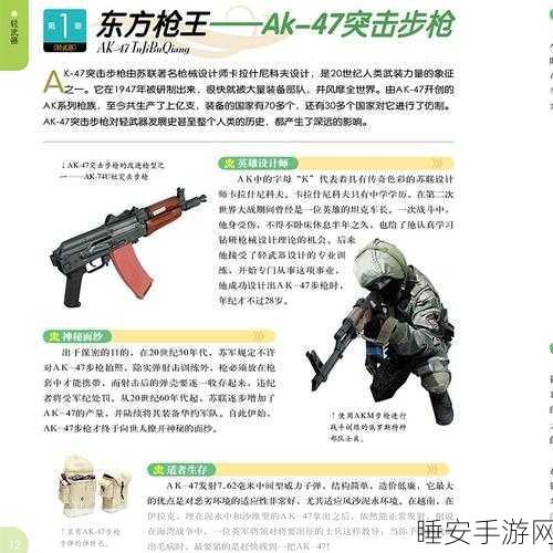 拱谷世界装备全解析,颜色与品质等级大揭秘