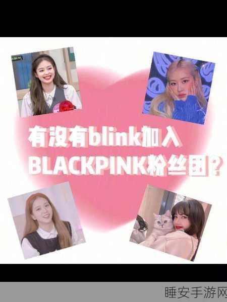 Blackpink粉丝必玩!钢琴块4最新版上线,挑战音乐节奏极限