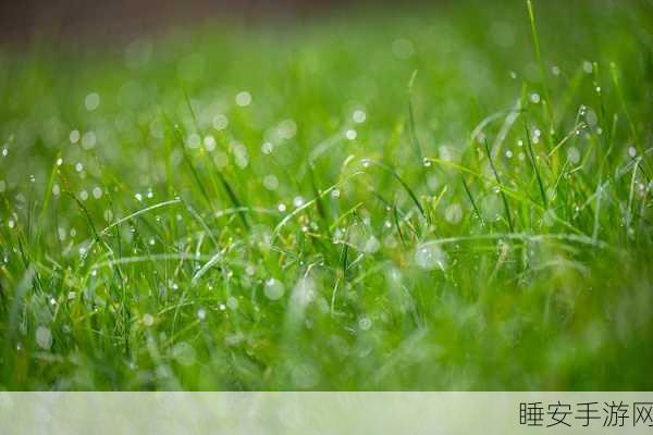一起草91:草地91一起享受🌱