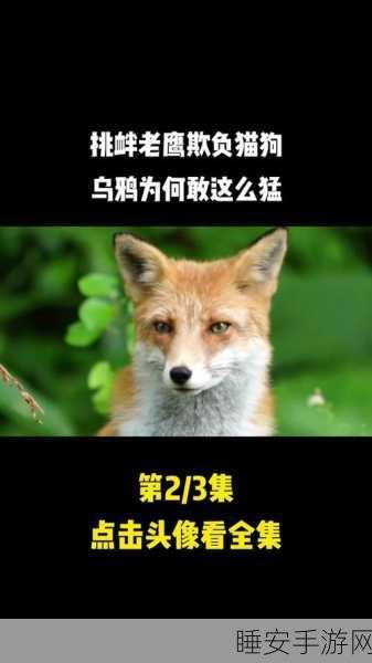 乌鸦重做:乌鸦重塑" 🐦