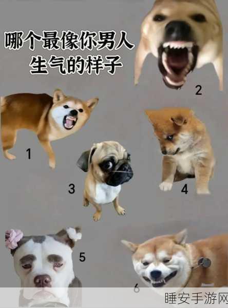 我的老公是只狗一郎：我老公是一只可爱的狗狗＂ 🐶