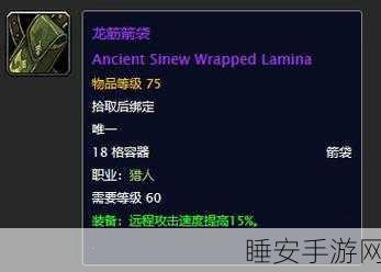 怀旧服猎人几种箭袋:怀旧服务器猎人多种箭袋选择" 🏹
