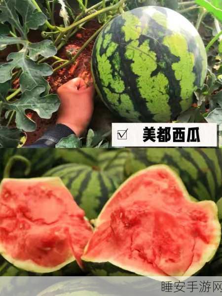 51吃瓜网cgw0.1c:51瓜友网cgw0.1c" 🍉