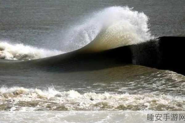 德国大BW:德国BW大潮" 🌊