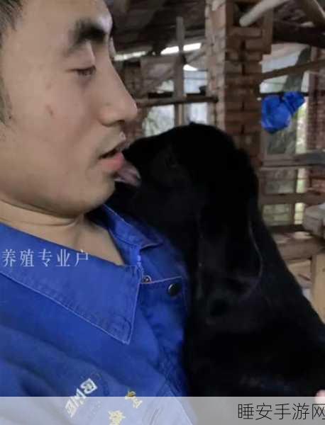 51今日吃瓜群众爆料小羊:51今日八卦热议小羊" 🐑