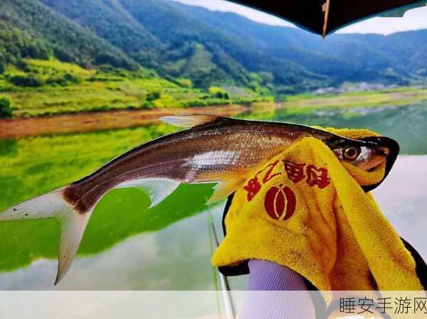 钓鱼看漂iOS版上线,尽享宁静垂钓之旅,赢取豪华渔具礼包!